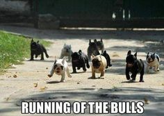 RunningOfTheBulls