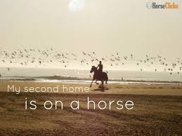 MySecondHomeIsOnAHorse