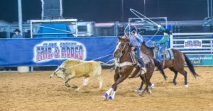 LOGANDALE NEVADA - APRIL 10 : Cowboys Participating in a Calf roping Competition at the Clark County Fair and Rodeo a Professional Rodeo held in Logandale Nevada USA on April 10 2014